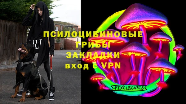 дживик Вязники